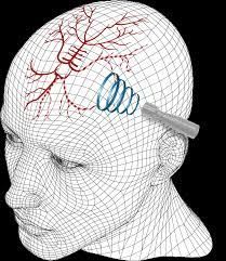 Arturo Javier Fuentes Gómez-8