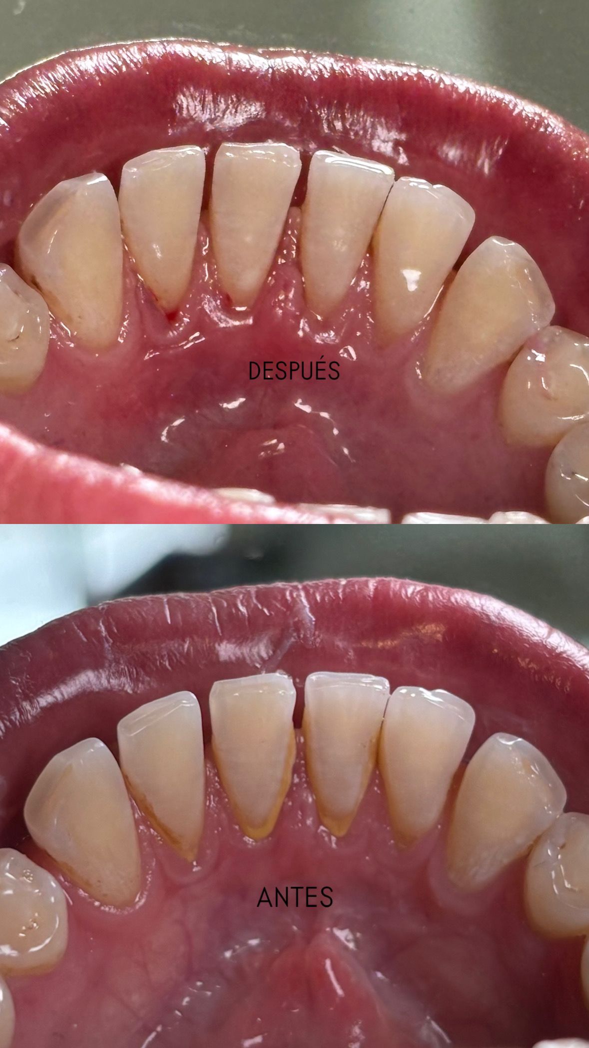 María Paula  Flores Novoa-85