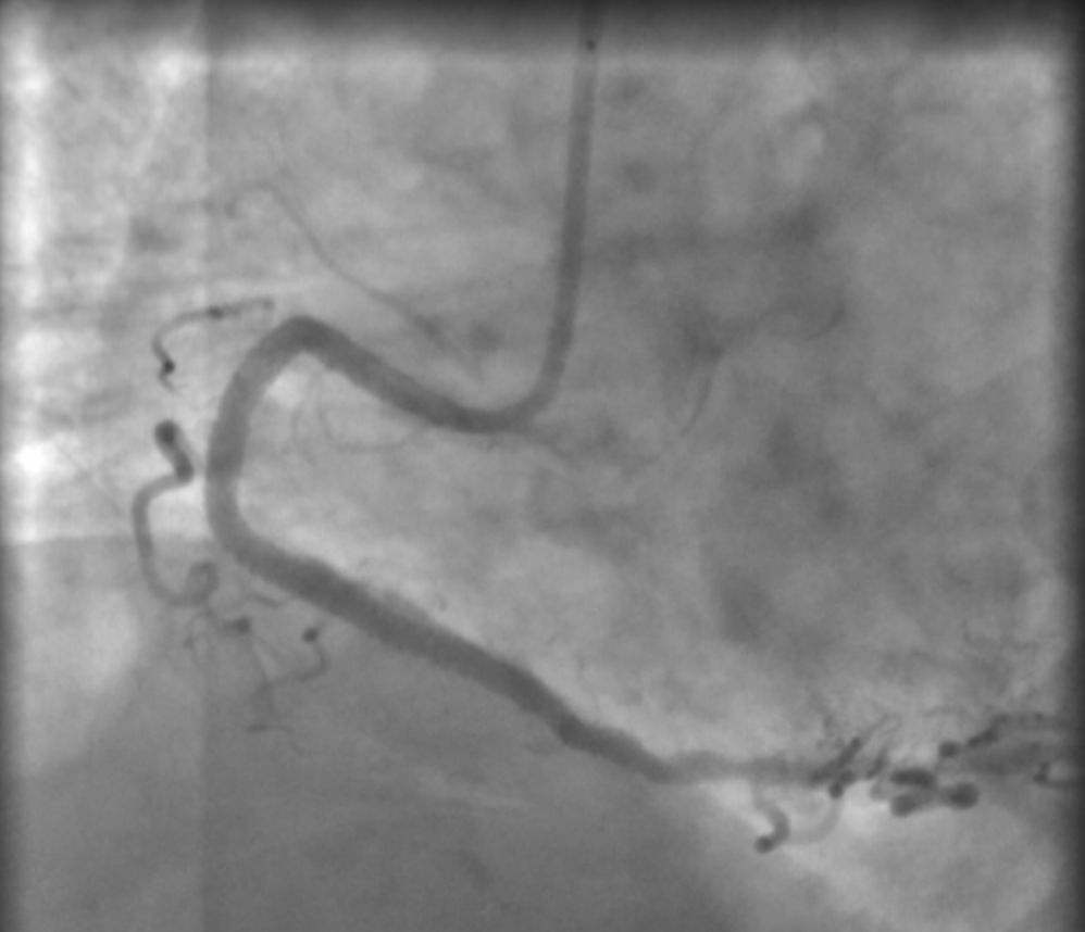 Laura Paola Aceves Chong-5