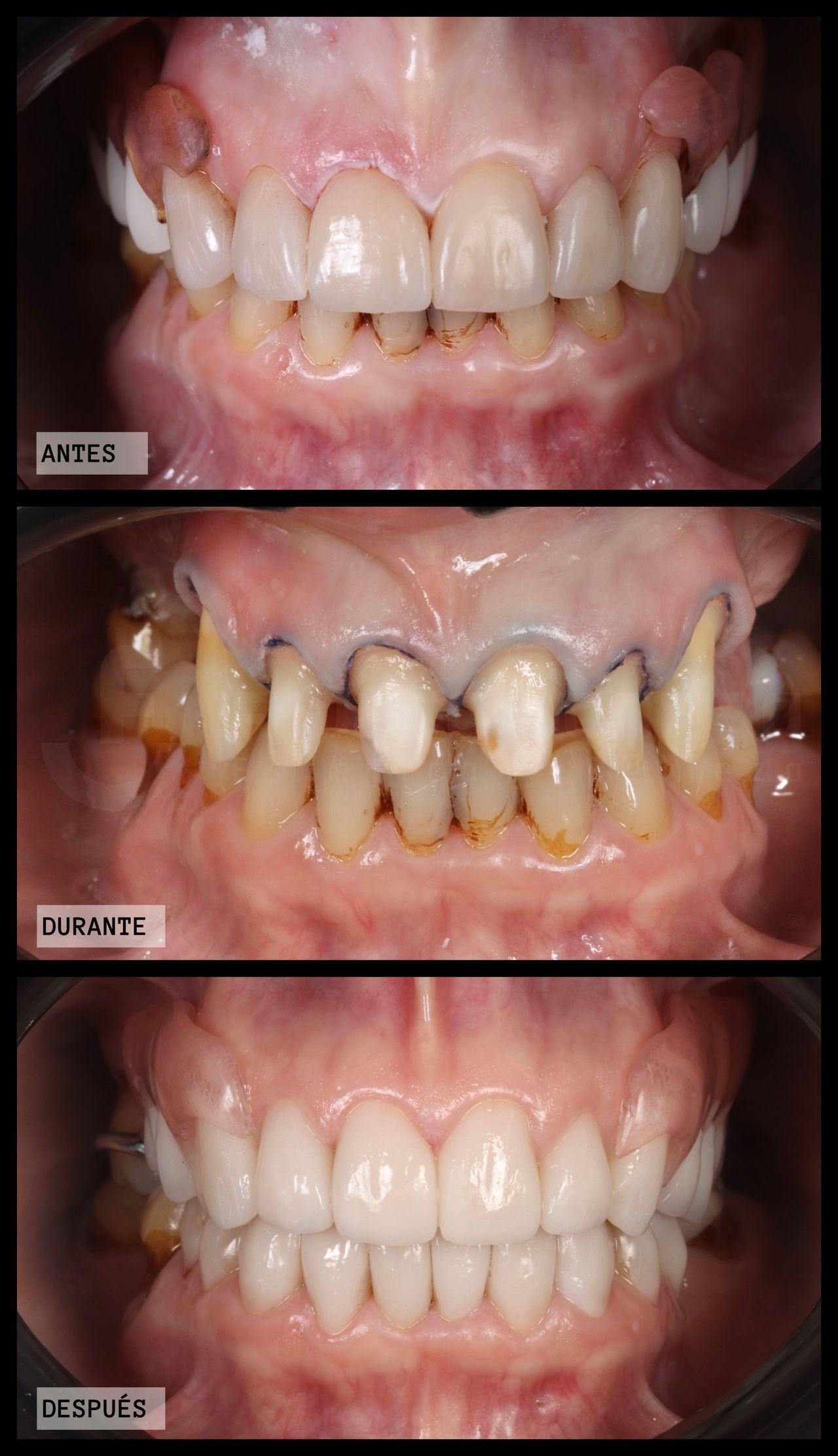 Maira Alejandra Franco Rodríguez-1