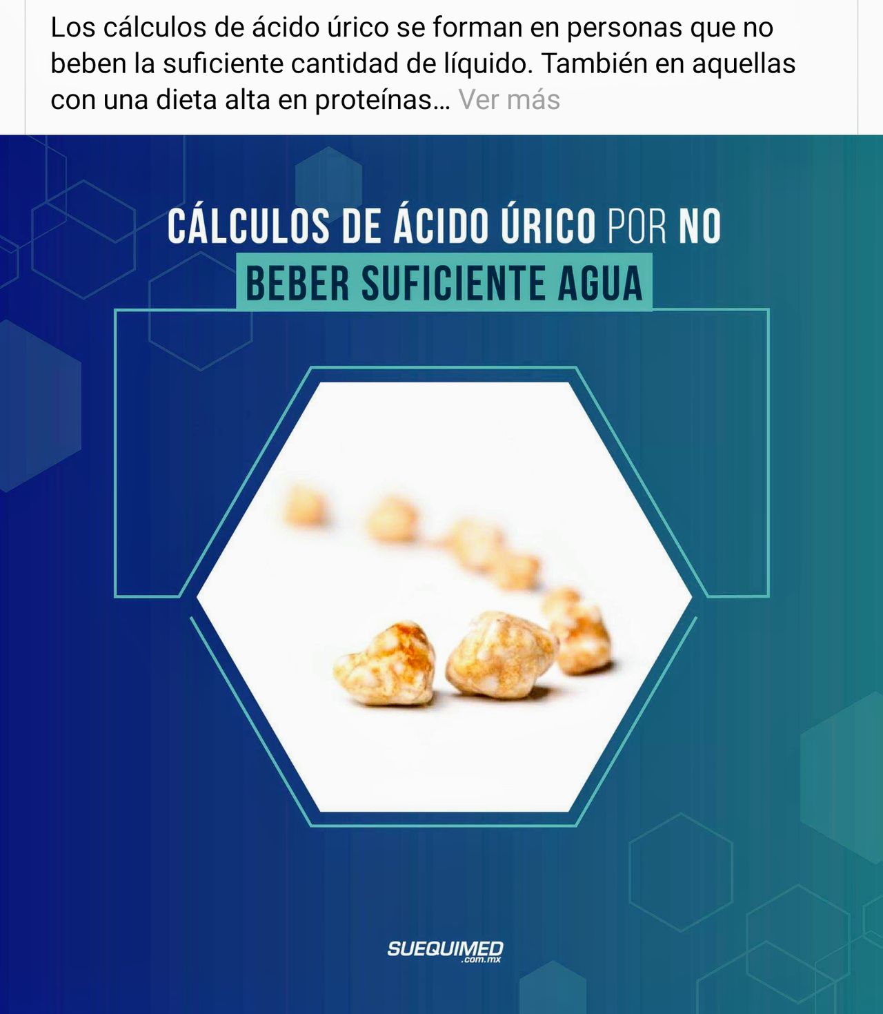 Fernando Bustos Angulo-6