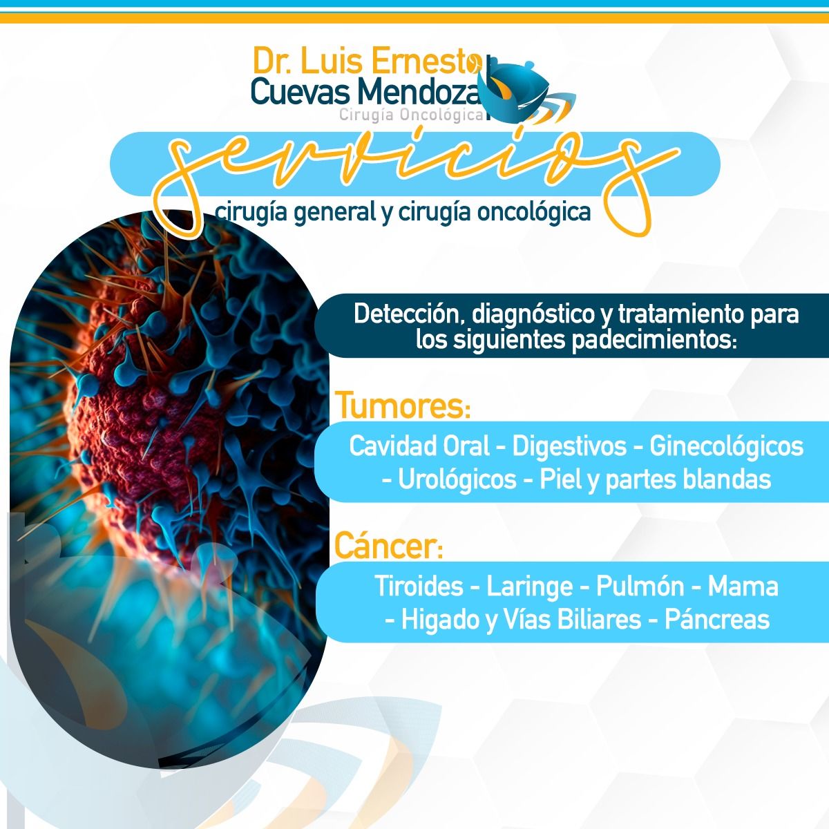 Luis Ernesto Cuevas Mendoza-79