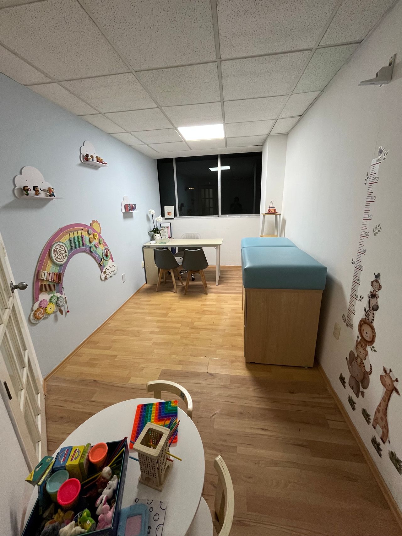 Ana Carolina Cruz Miranda-9