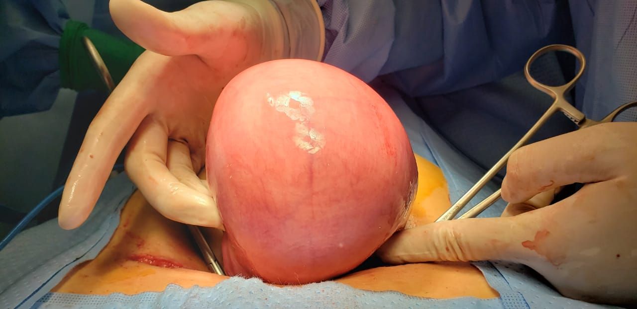 Nayeli Martínez Jaime-4