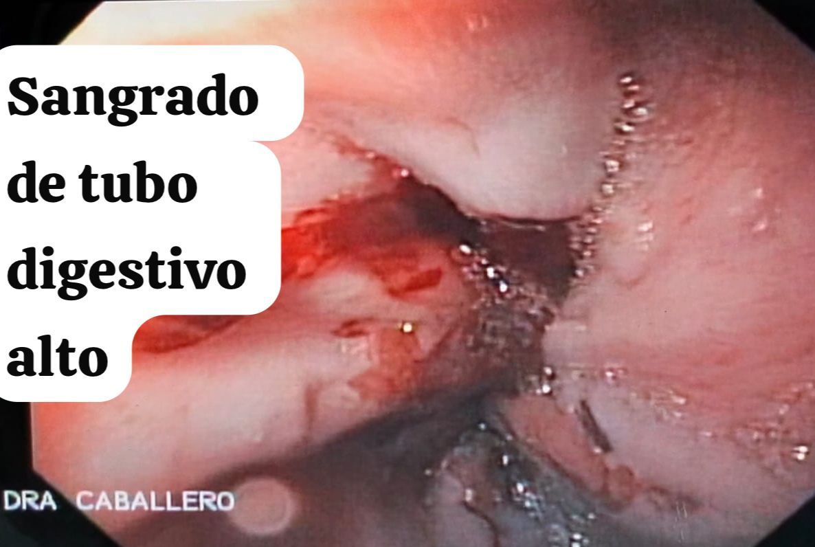 Priscilla Caballero Vázquez-4