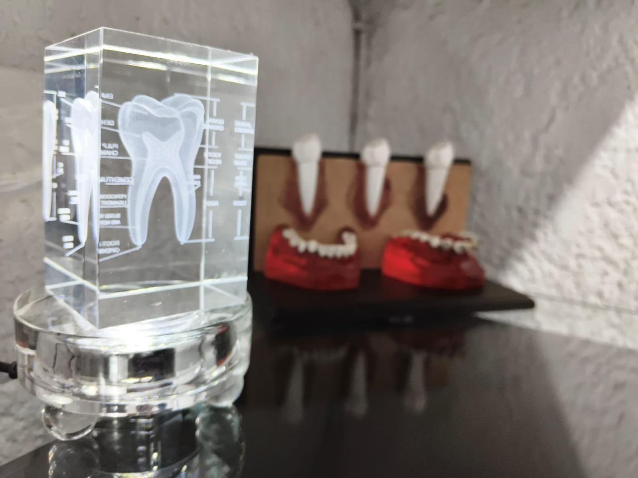 Erika Méndez Hernandez-5