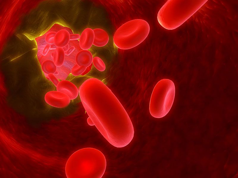 Gerardo Morales Mora-3