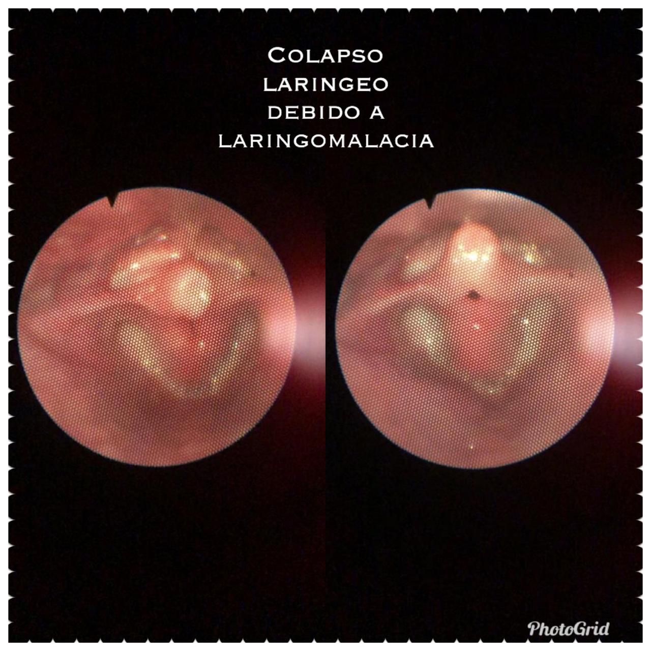 Nuria Esperanza Boronat Echeverria-10