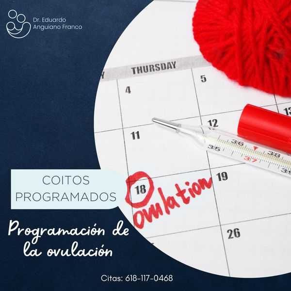 Eduardo Anguiano Franco-28