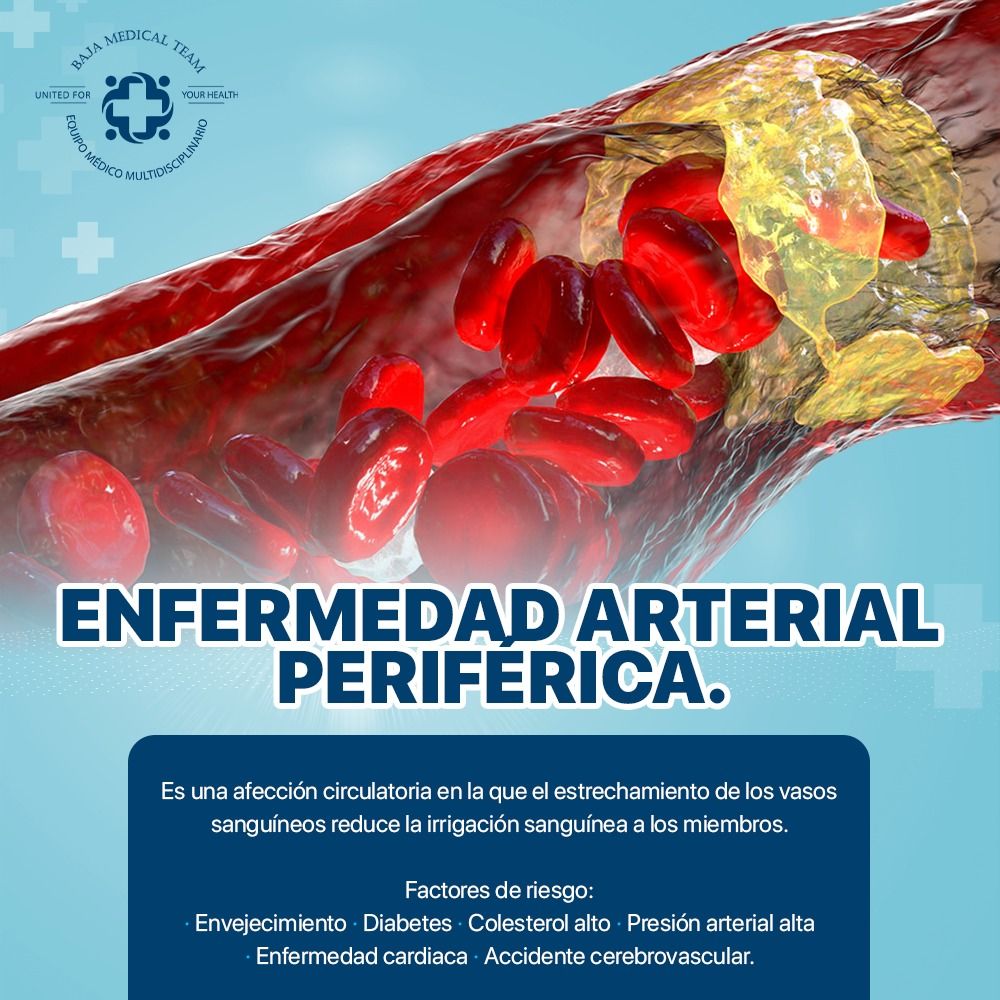 Manuel Alejandro De La Torre Zazueta-4