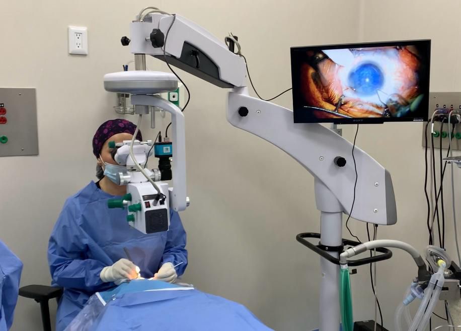 Claudia Del Carmen Ramos Cruz-2