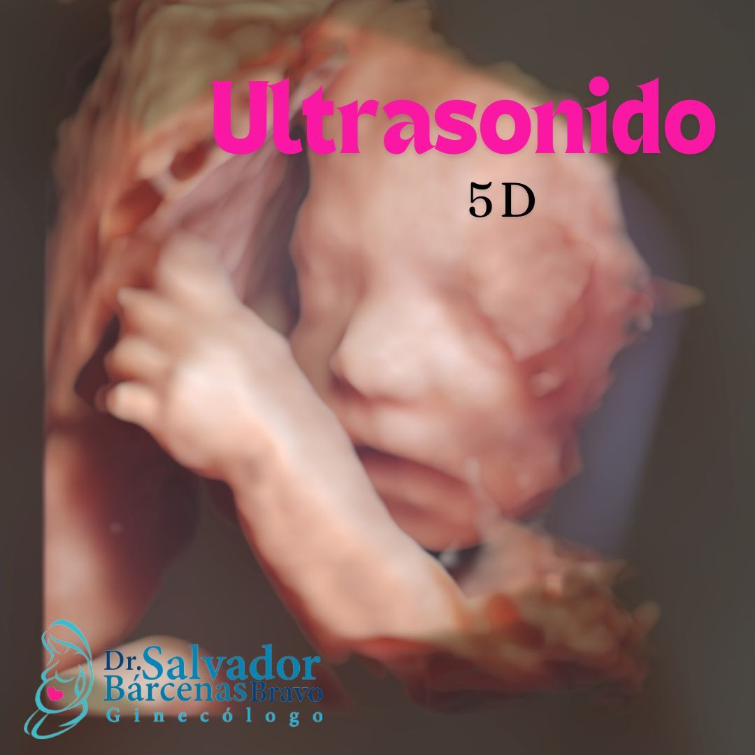 Salvador Barcenas Bravo-9