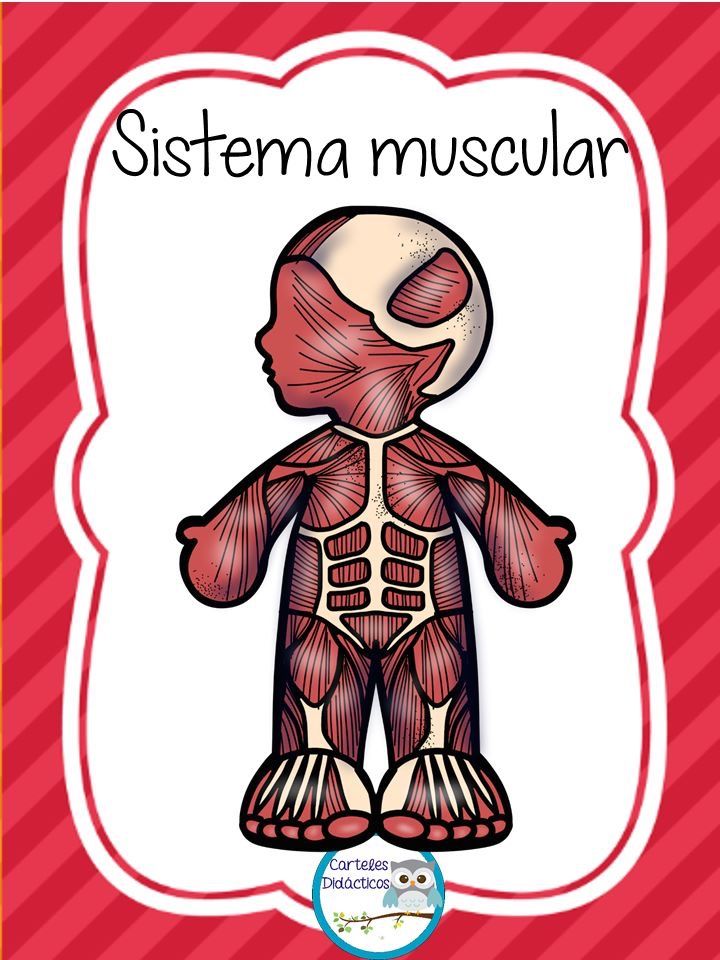 Roberto Renán Albavera Gutiérrez-11