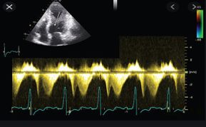Mayra Patricia Hernández López-6