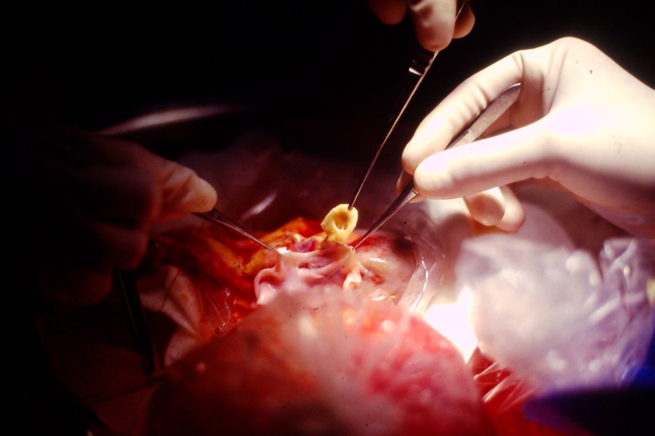 Rodrigo Benitez Vallejo-1