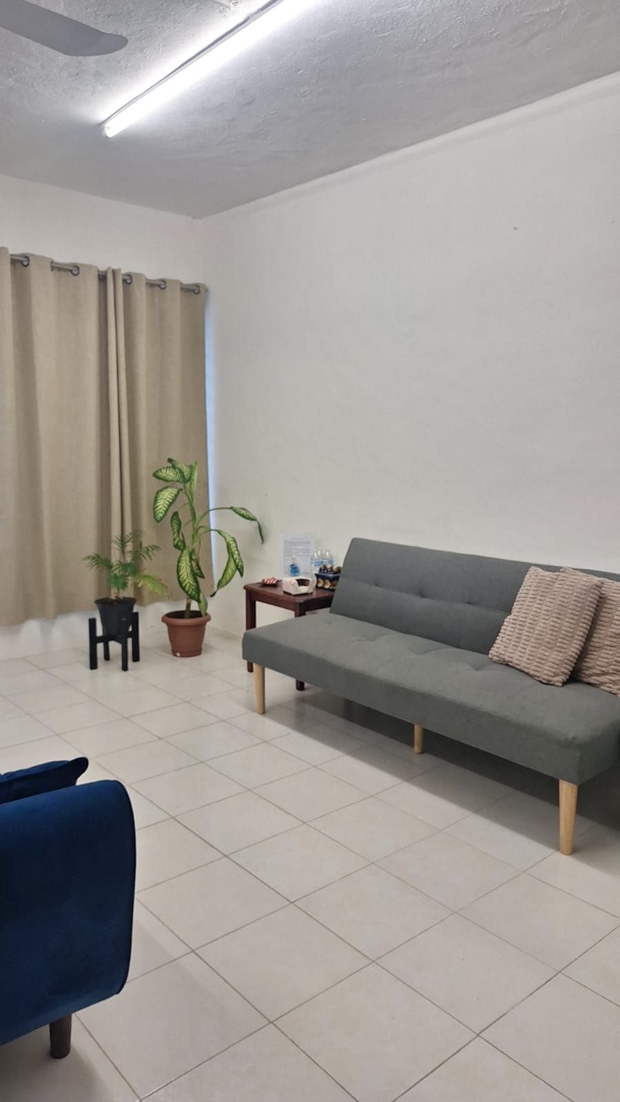 Jeannette Rodríguez-0