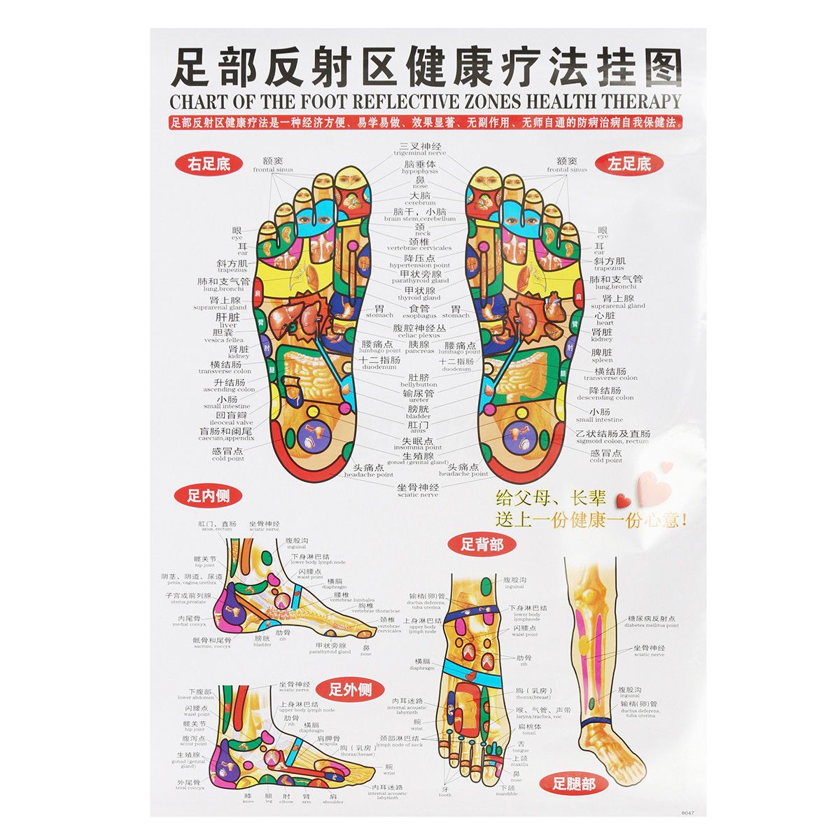 Sandra Judith Raya Ramírez-9