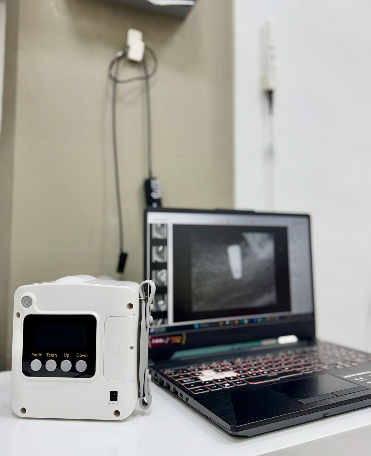 Alejandra Verdugo Oyama-7