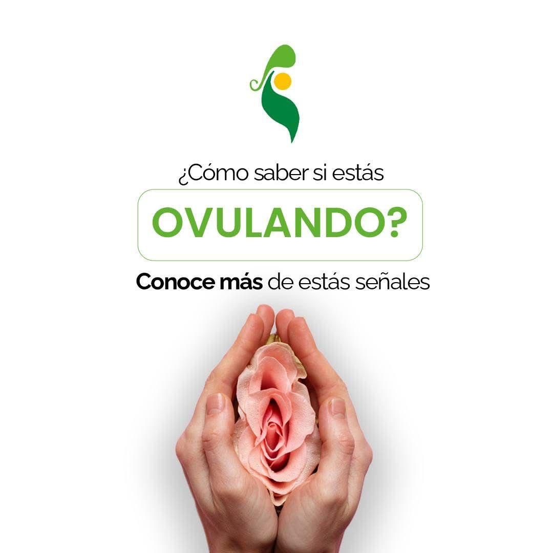 Gonzalo Hernández Martínez-63