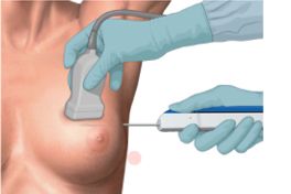 Juana Alejandra Salinas Rincon-3