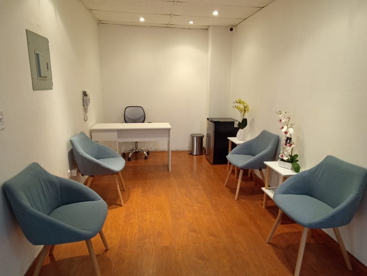 Dulce Jasmin Verde Ceja-2