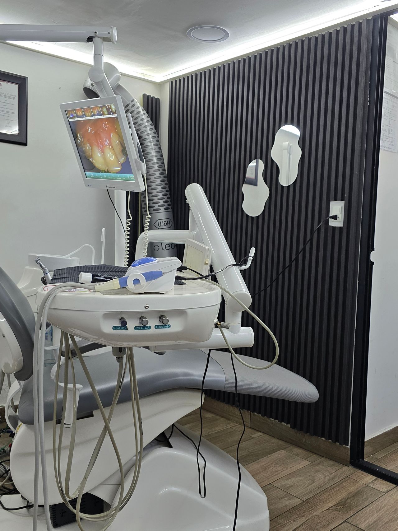 María Fernanda Castillo Cruz-0