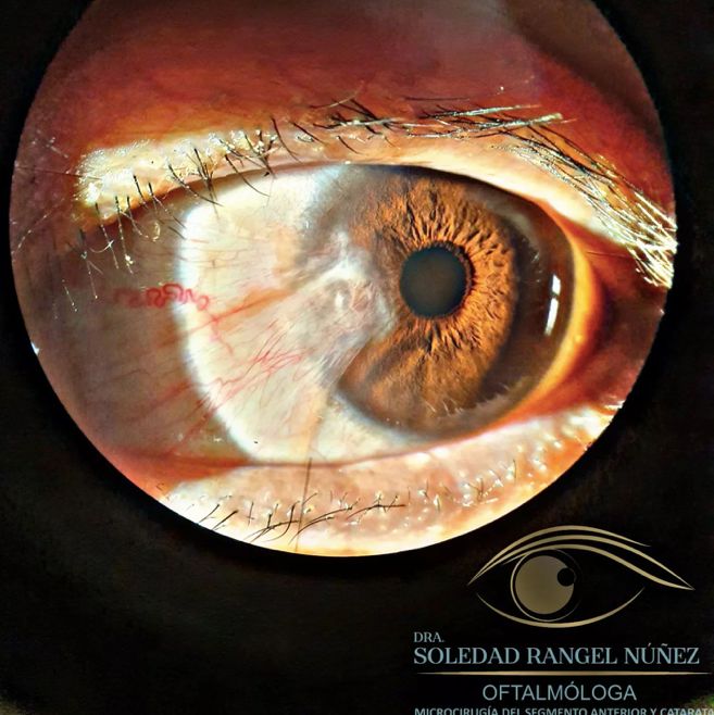 Soledad Rangel Núñez-14