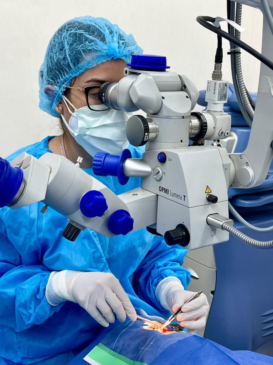 Alejandrina G. Baeza Echeverría-2