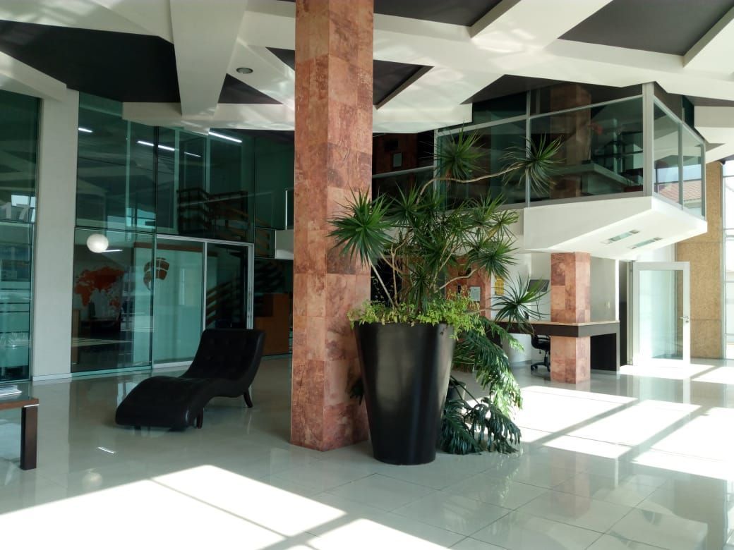 Francisco Javier Pérez Arcos-3