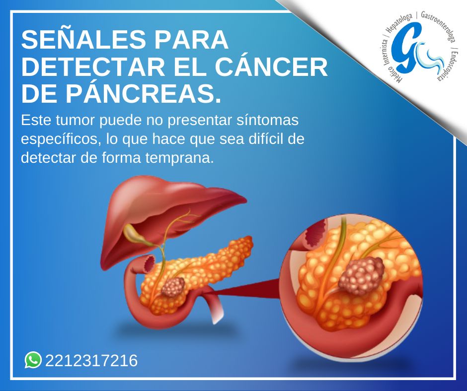 Maria Eddy Lucia Niño Almanza-4