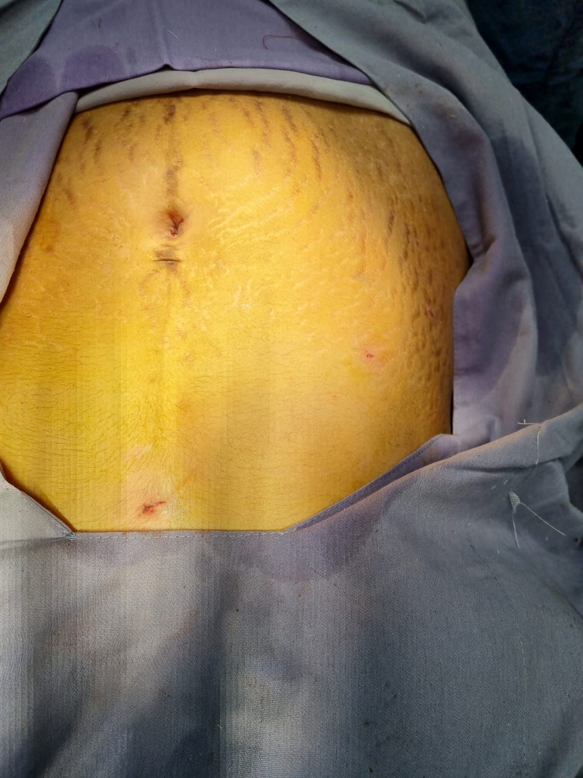 Martin Velázquez Ojeda-6