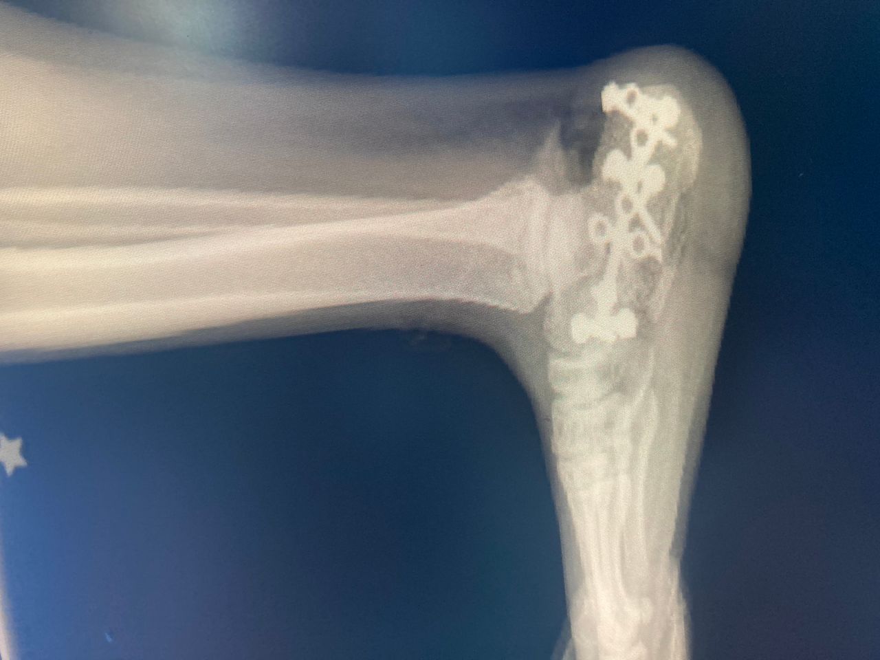 Noe González Plata-9