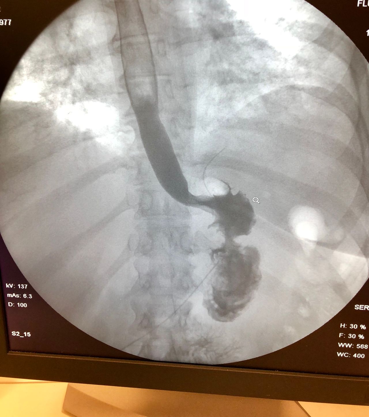 Iliana González Pezzat-2