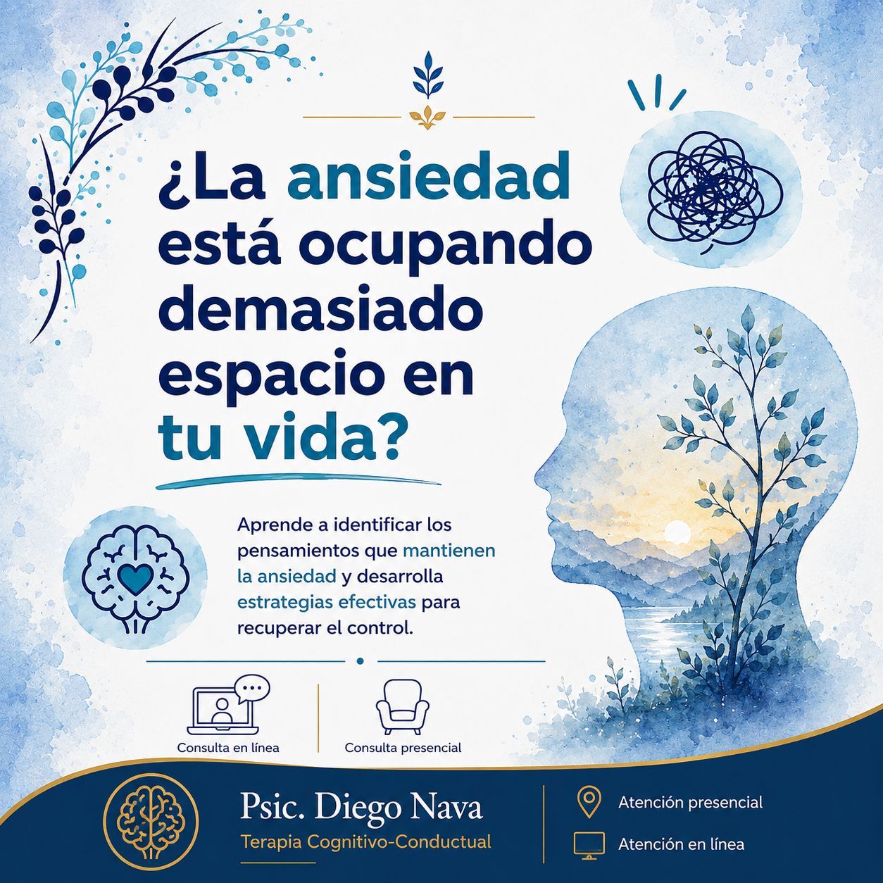 Diego Alberto Nava Delgado-7