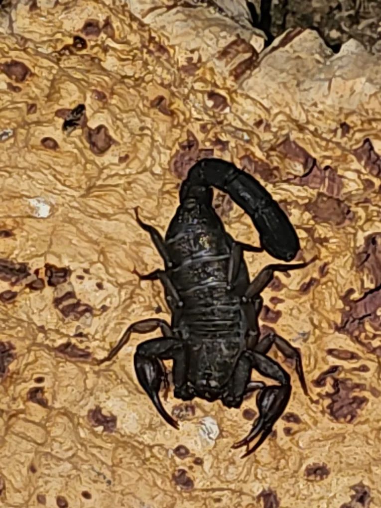 Jorge Humberto Arrieta Castro-7