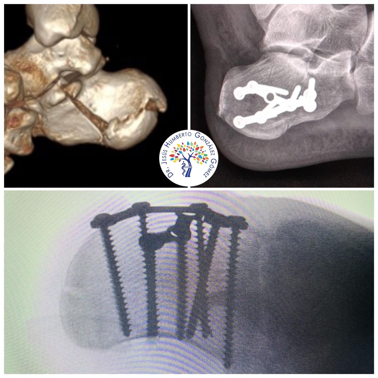 Jesús Humberto González Gómez-28