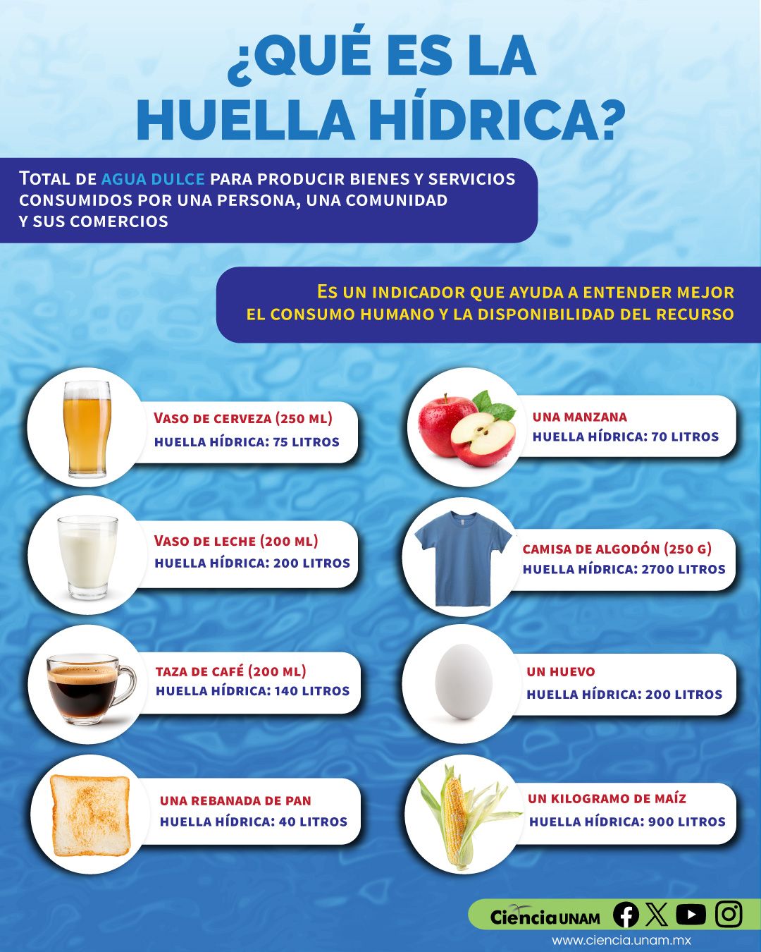 Raymundo Alejandro Cuevas Escalante-378