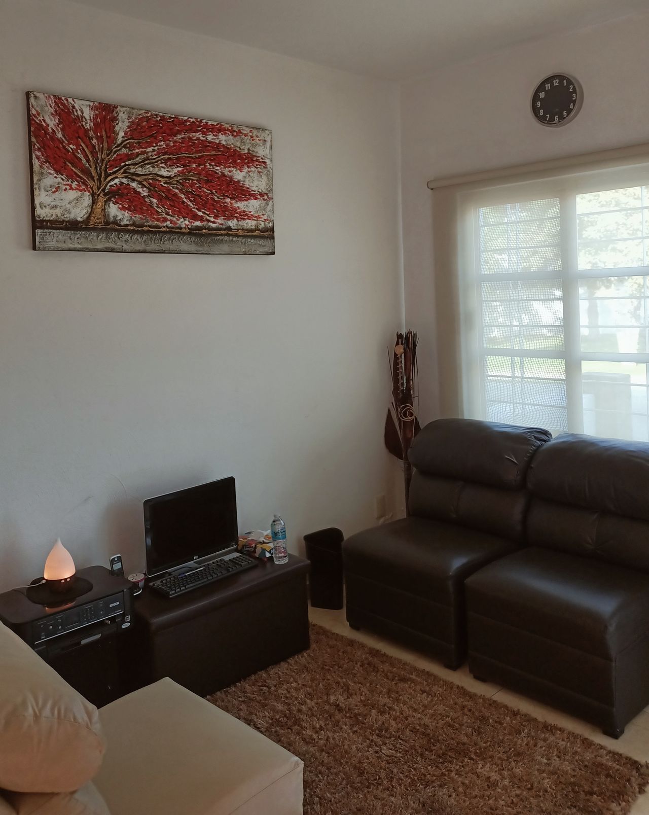 Yolanda Guadalupe Bolaños Estrada-0