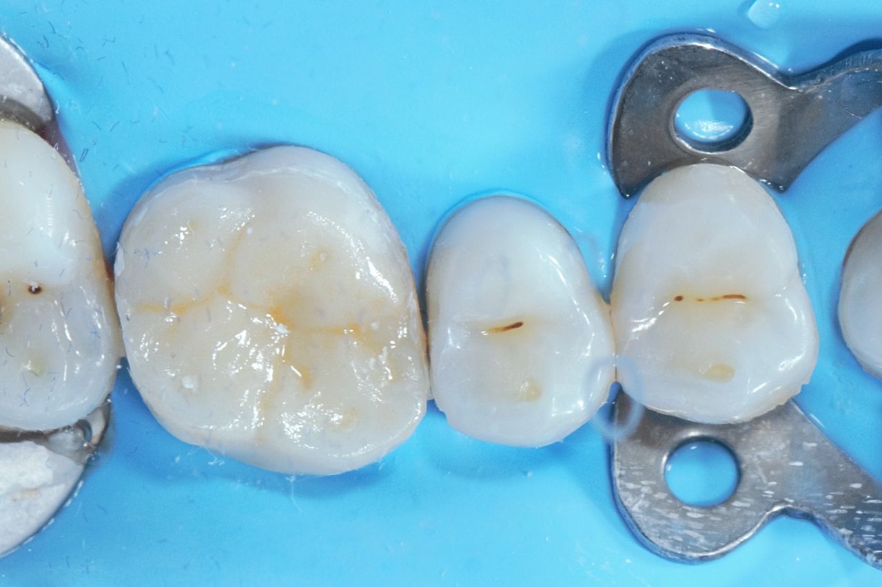 Dafne De Los Santos-18