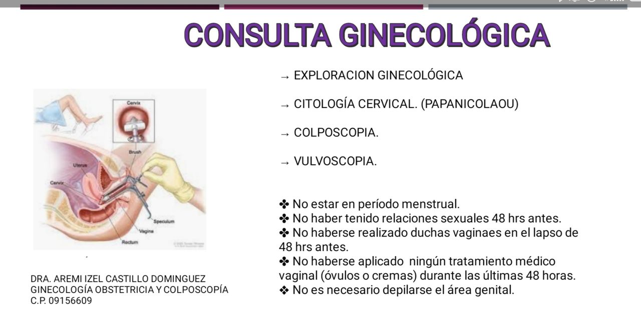 Aremi Castillo Dominguez-3