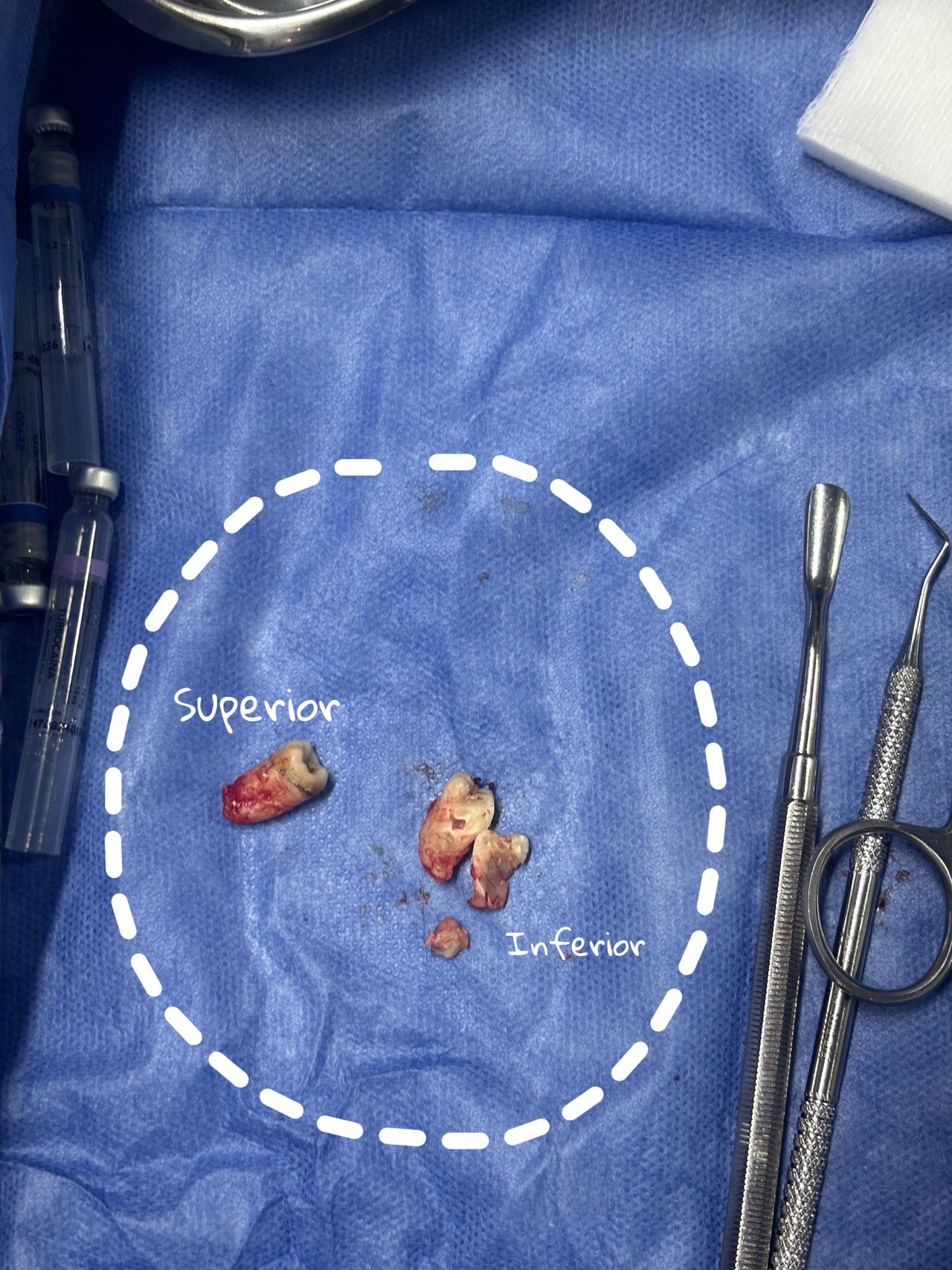 Evelin Karolina Carrillo Solís-4