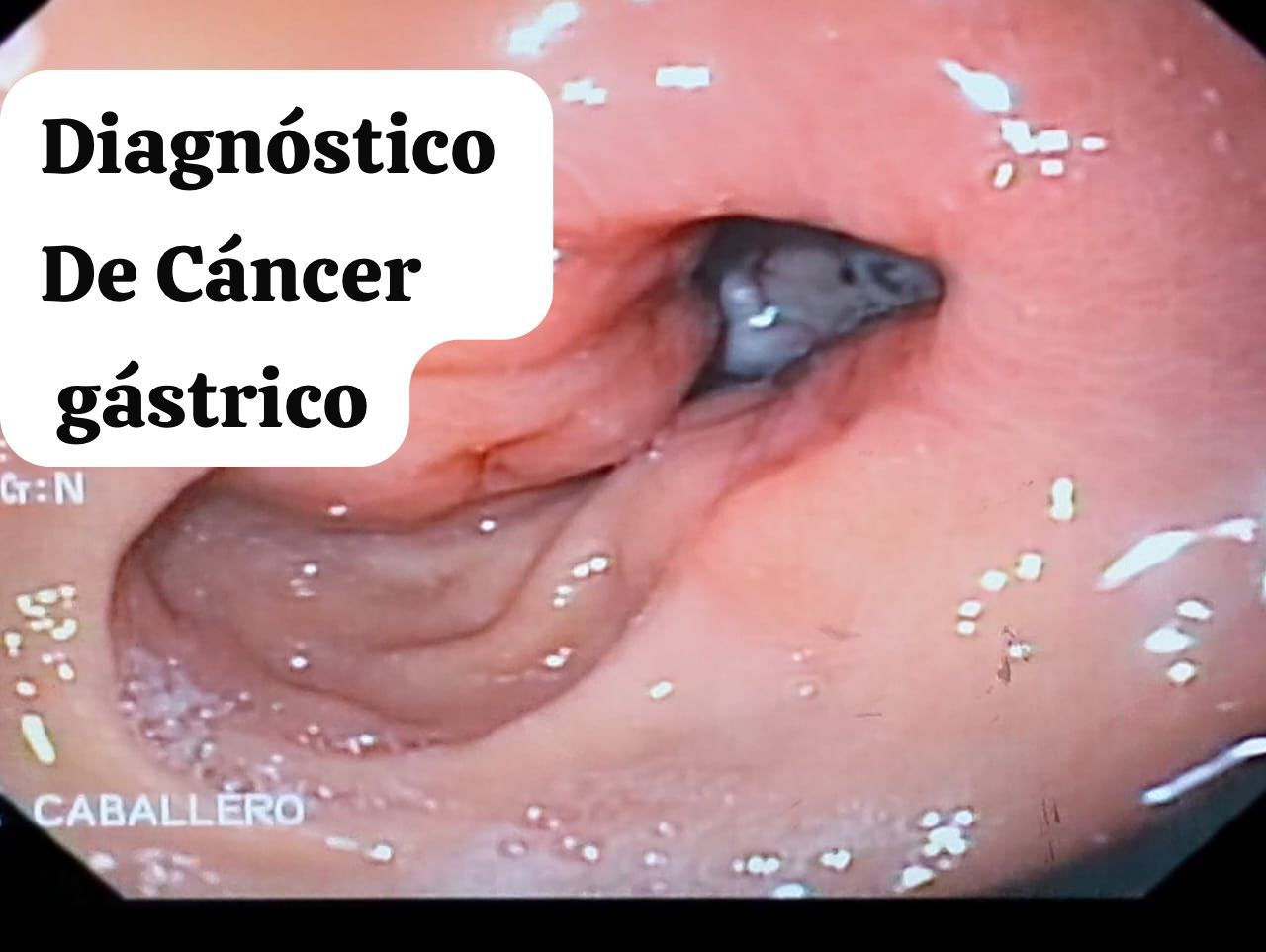 Priscilla Caballero Vázquez-2