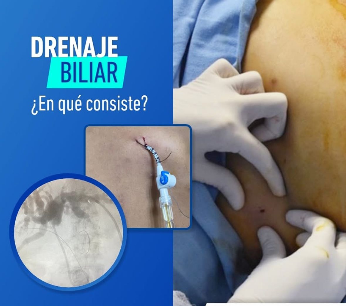 Lucia Zatarain Bayliss-11