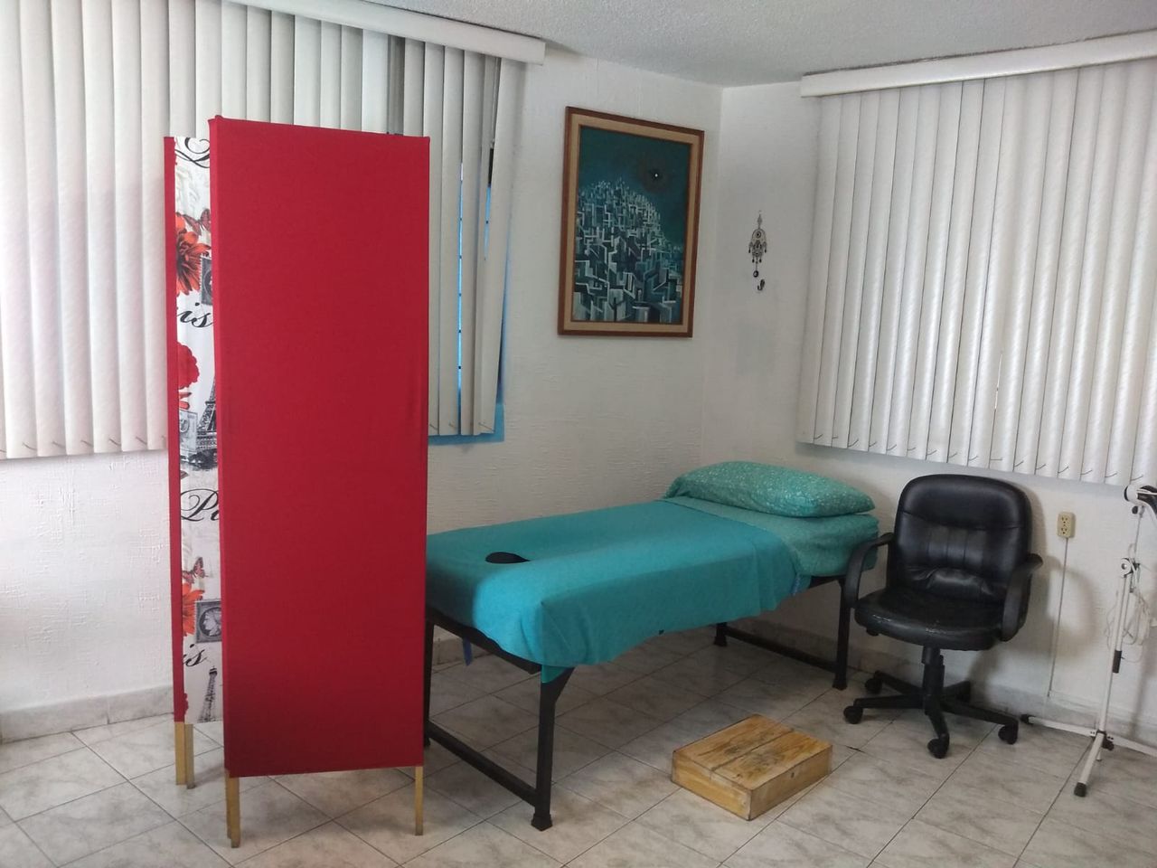 Luz María Becerril Laguna-0