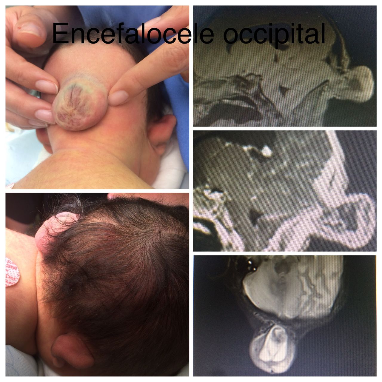 Michelle Omar Calderon Sánchez-10