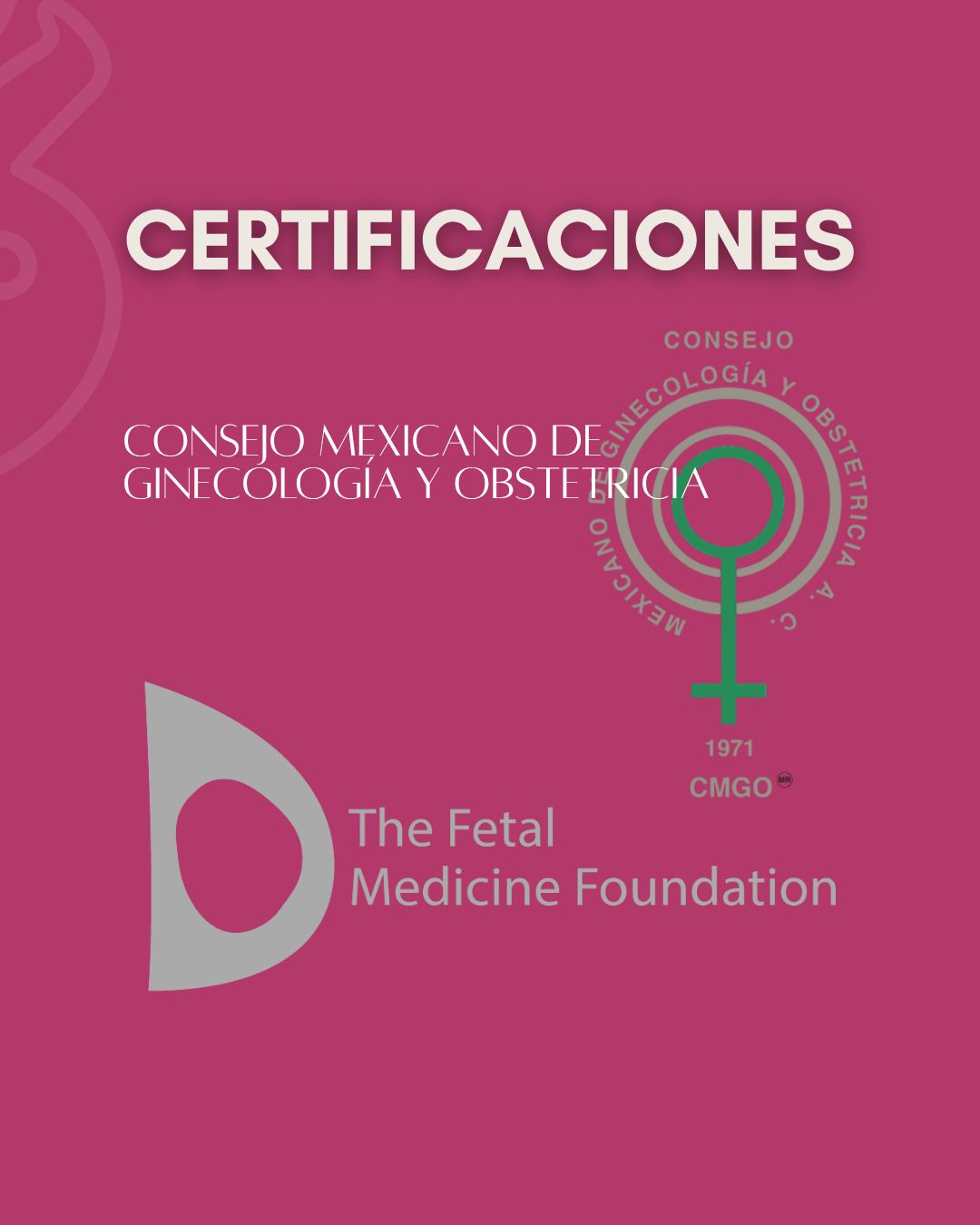 Vania Itzel Cortes Cernas-6