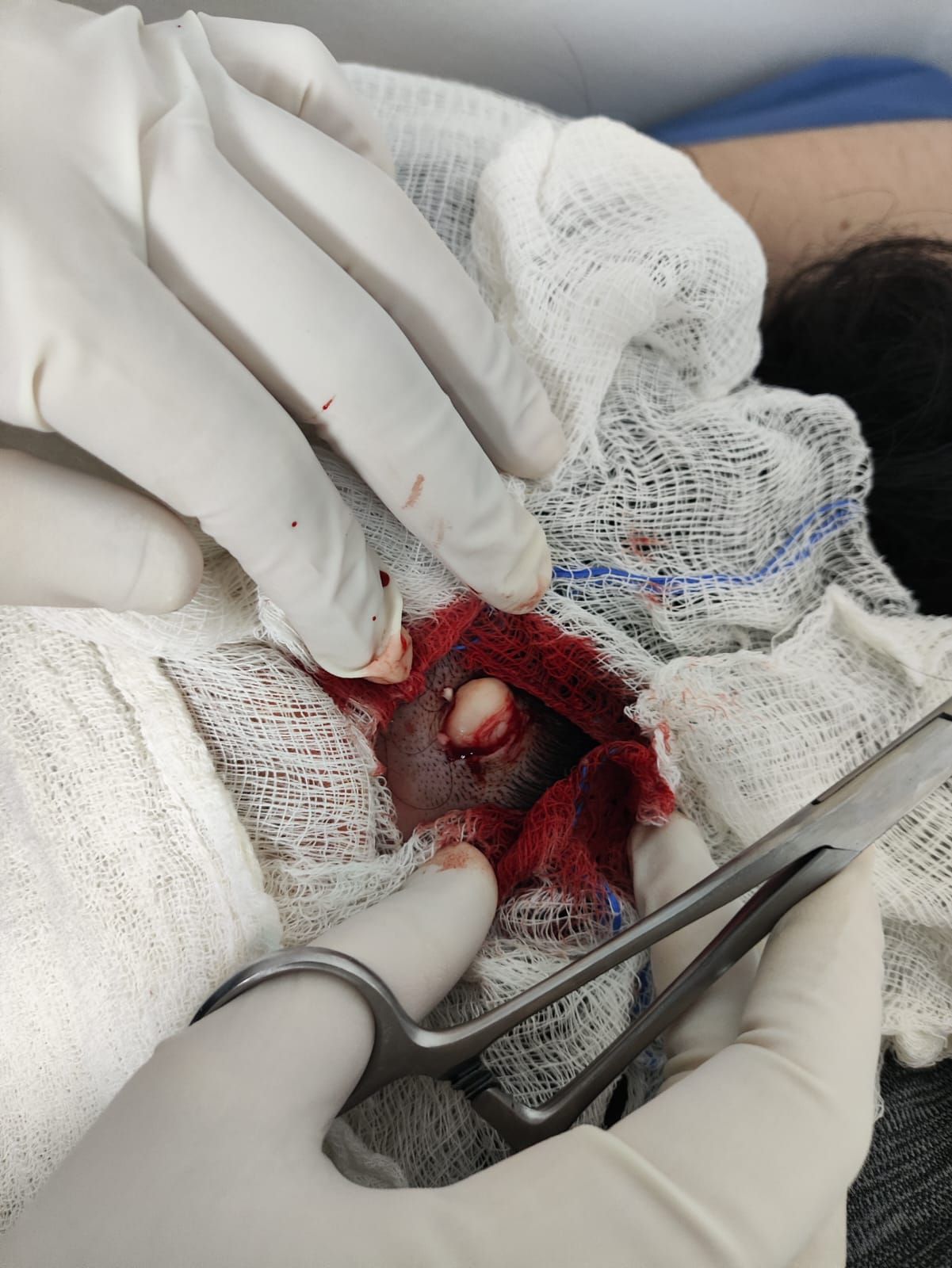 Jacqueline Hernandez Gonzalez-10