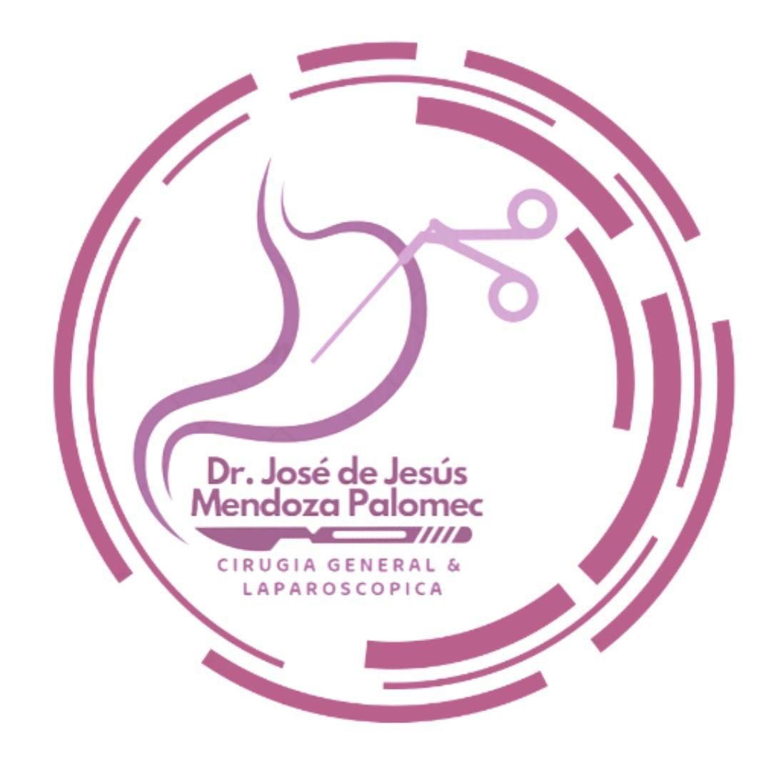 José De Jesus Mendoza Palomec-14