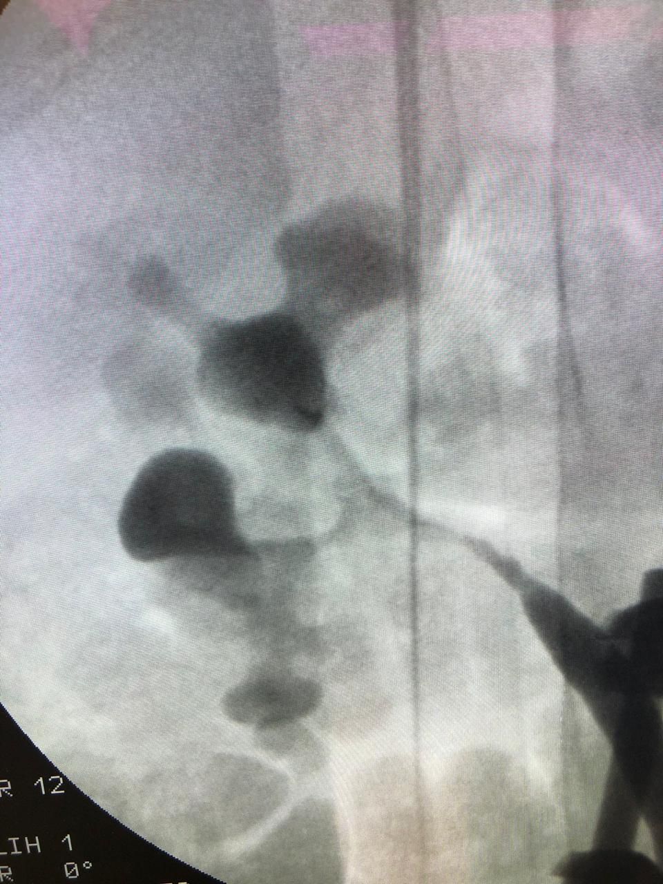 Gerardo Rodrigo Lemus Mena-4