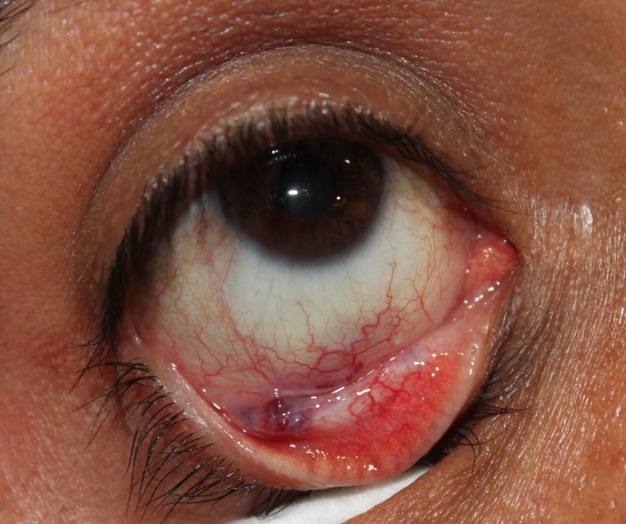 Andrea Cárdenas González-19